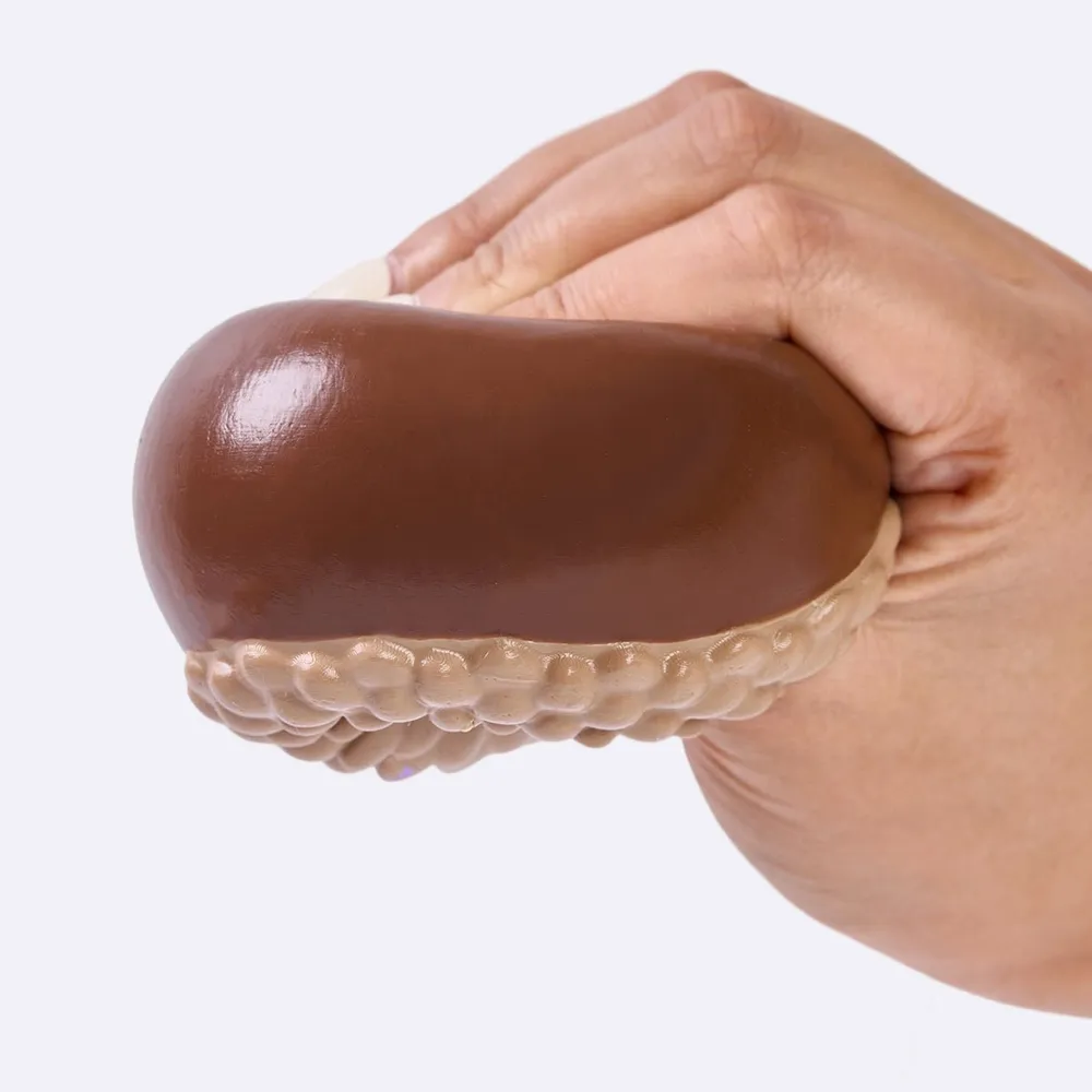 Aacorn Taba Squishy — photo 2