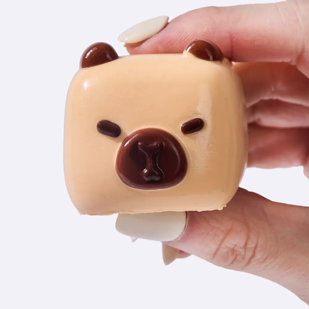 Brown Capybara Cube — photo 4
