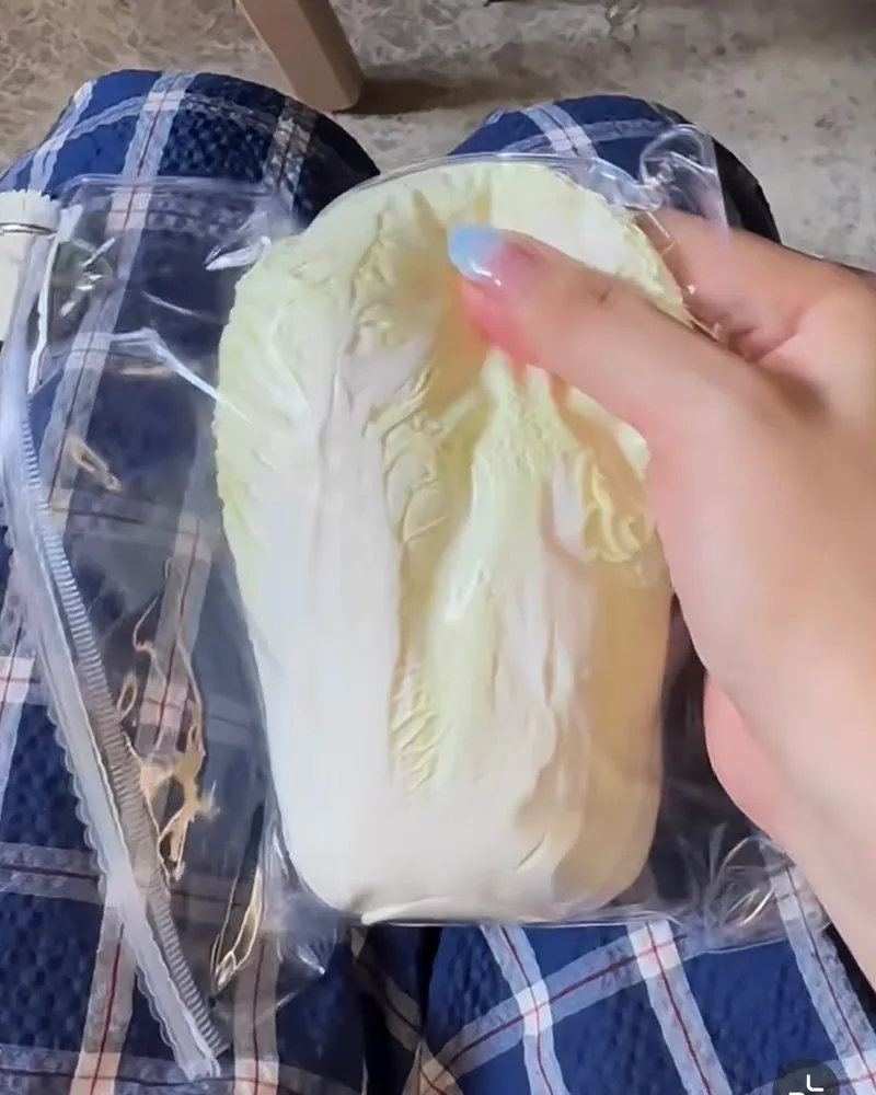 Cabbage Squishy Stress Relief Decompression Toy — photo 4