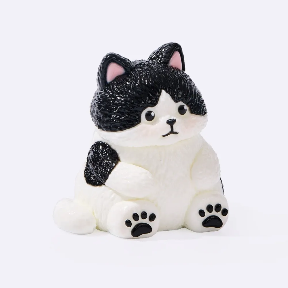 Chubby Tuxedo Cat
