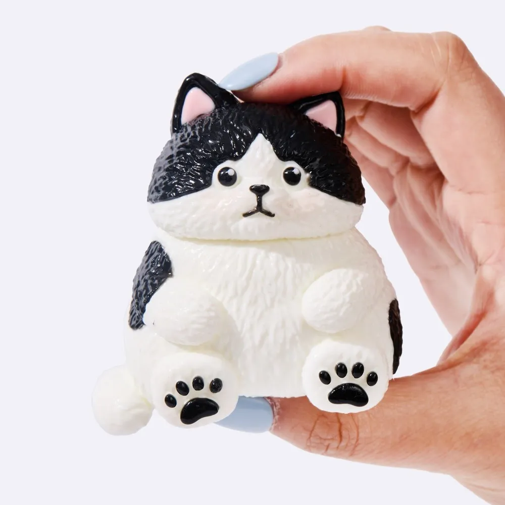 Chubby Tuxedo Cat — photo 4