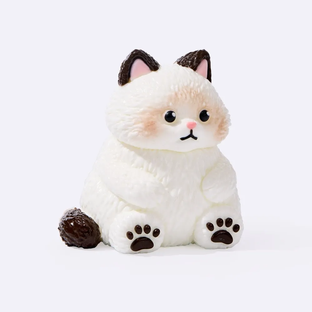 Chubby White Ragdoll Cat