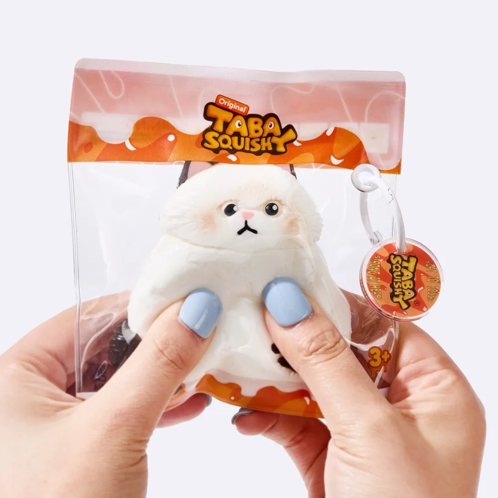 Chubby White Ragdoll Cat — photo 5