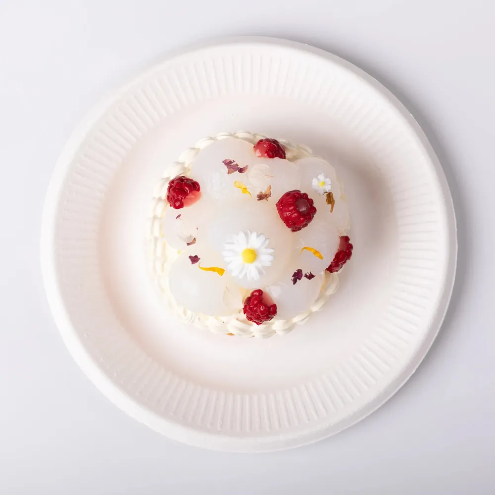 【CT042】Lychee Tart Squishy Toy — photo 3