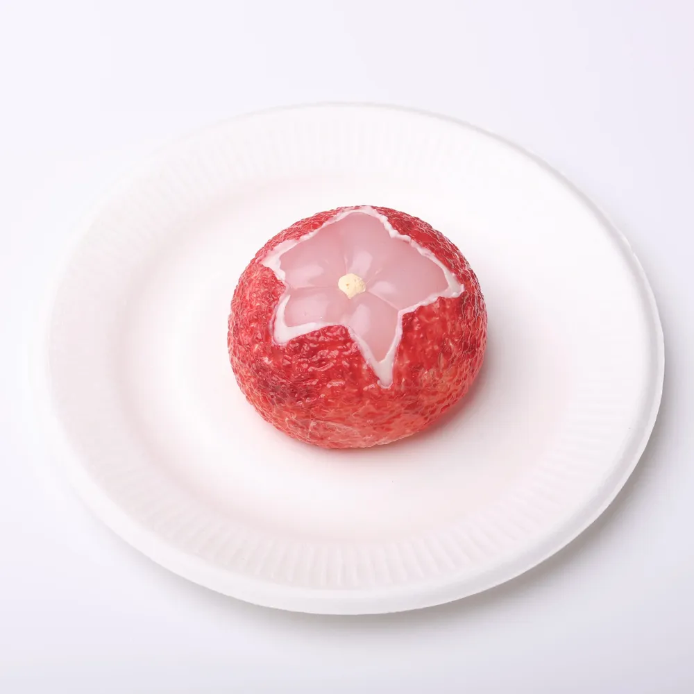 【CT119】Lychee Squishy Toy — photo 3