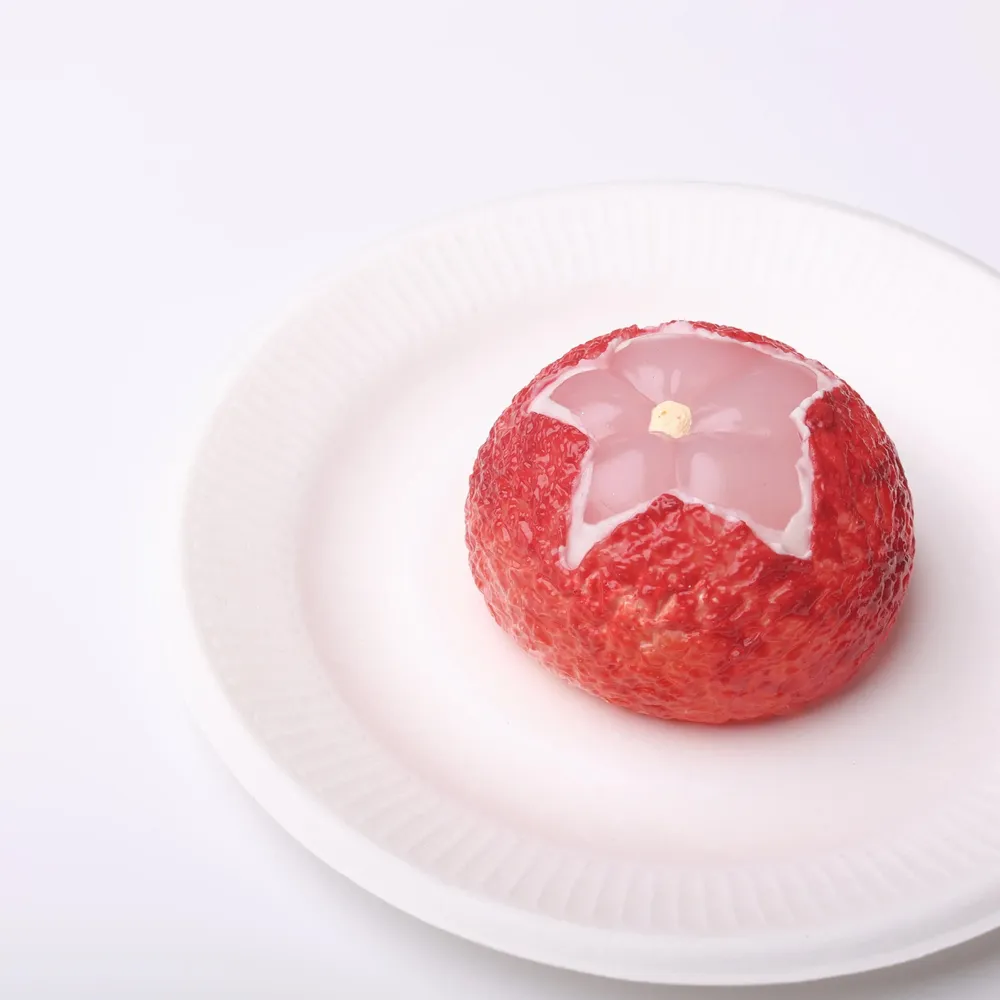 【CT119】Lychee Squishy Toy — photo 4