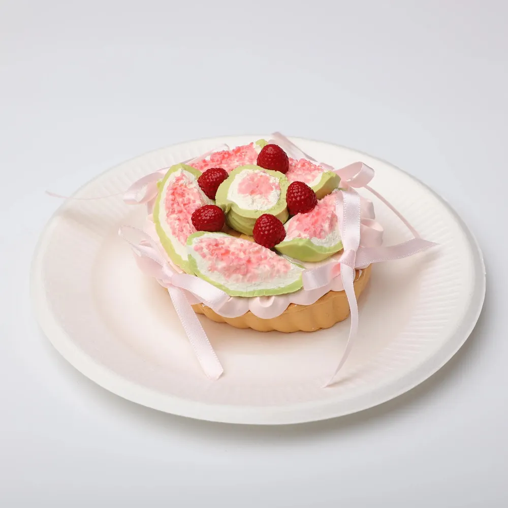 【CT170】Fig and Raspberry Tart Squishy — photo 2