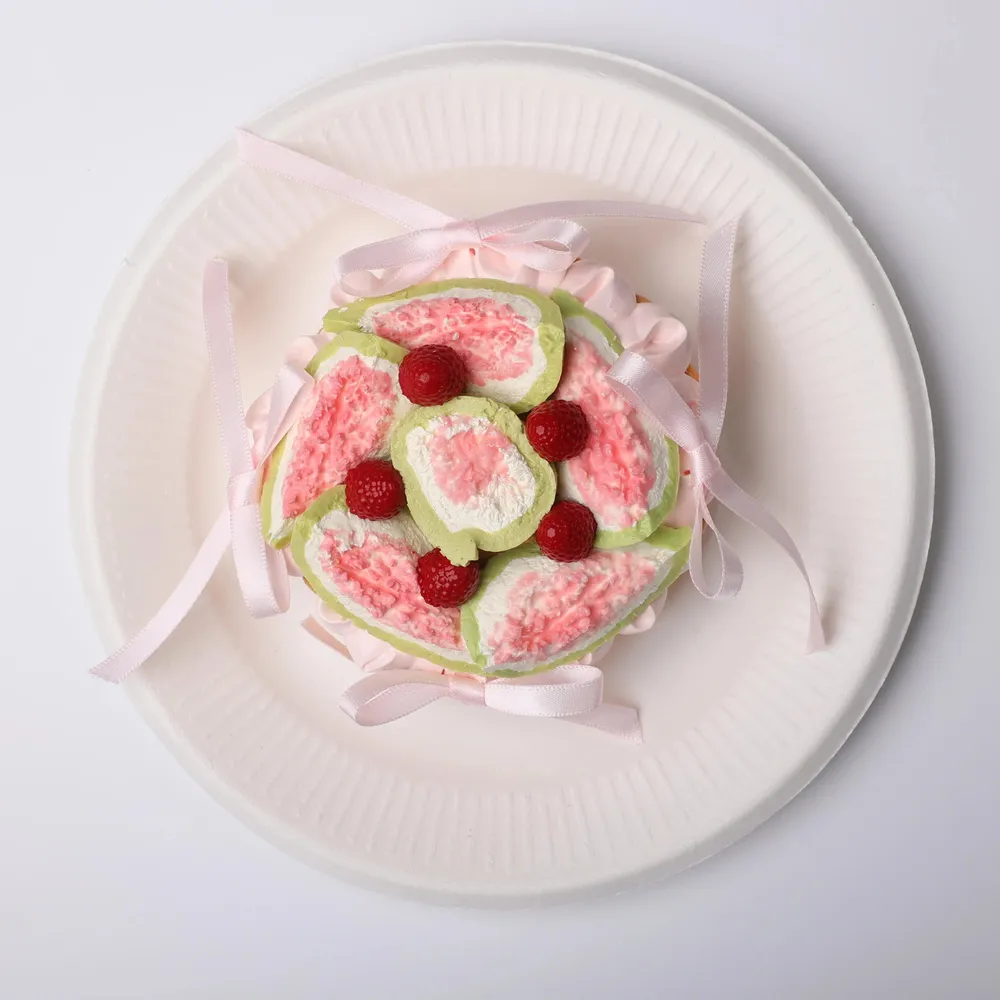 【CT170】Fig and Raspberry Tart Squishy — photo 5