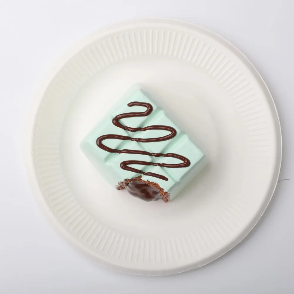 【CT178】Mint Chocolate Squishy Toy — photo 4