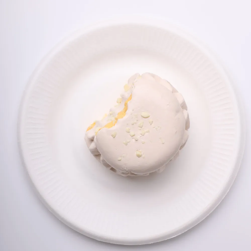 【CT195】Oat Macaron Squishy Toy — photo 3