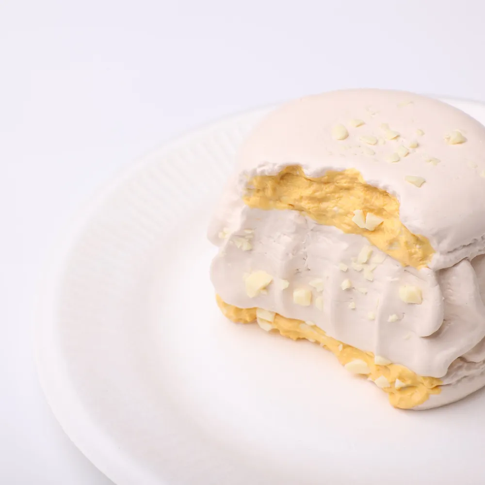 【CT195】Oat Macaron Squishy Toy — photo 4