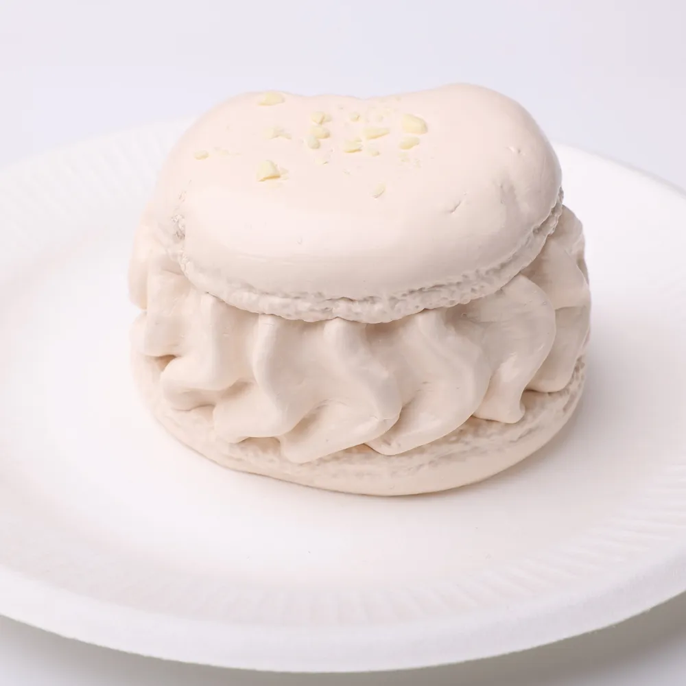 【CT195】Oat Macaron Squishy Toy — photo 5
