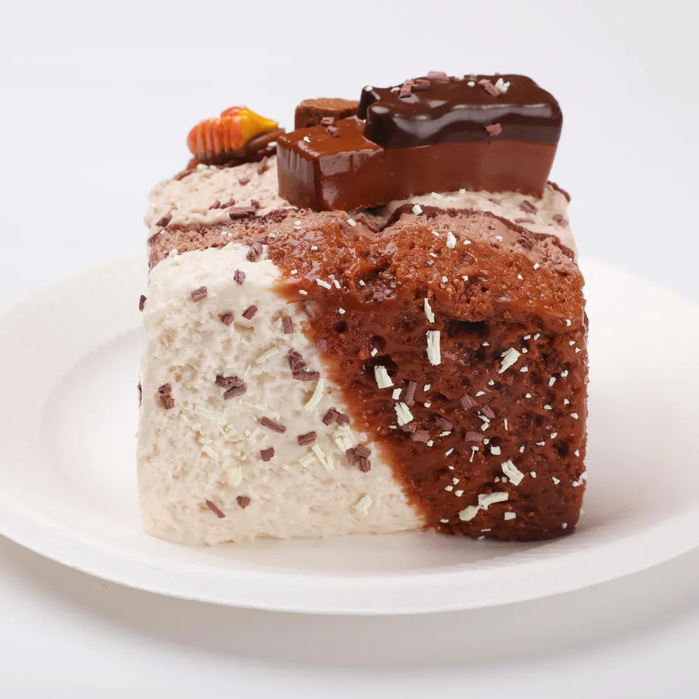 【CT257】Chocolate Big Toast Squishy Toy — photo 3