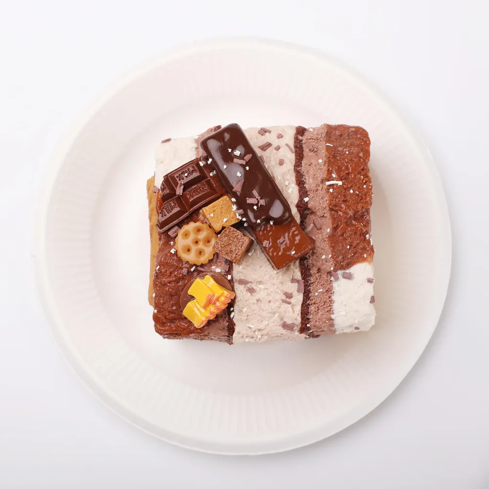 【CT257】Chocolate Big Toast Squishy Toy — photo 4