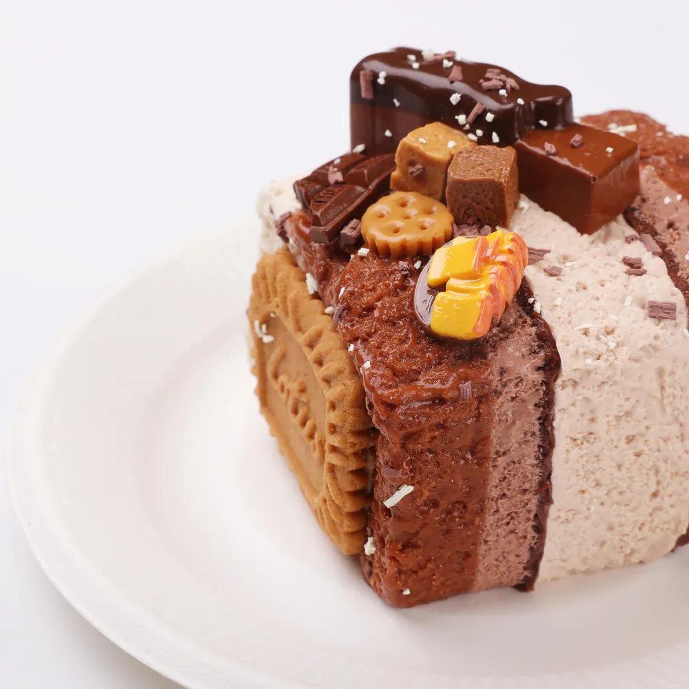 【CT257】Chocolate Big Toast Squishy Toy — photo 5