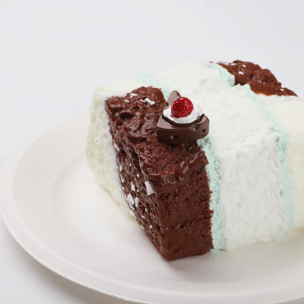 【CT258】Sea Salt Chocolate Toast Squishy Toy — photo 4