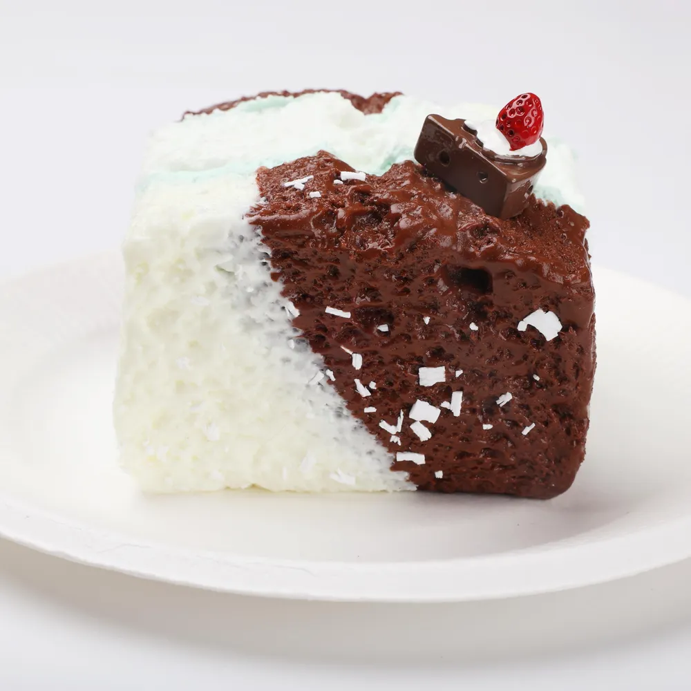 【CT258】Sea Salt Chocolate Toast Squishy Toy — photo 5