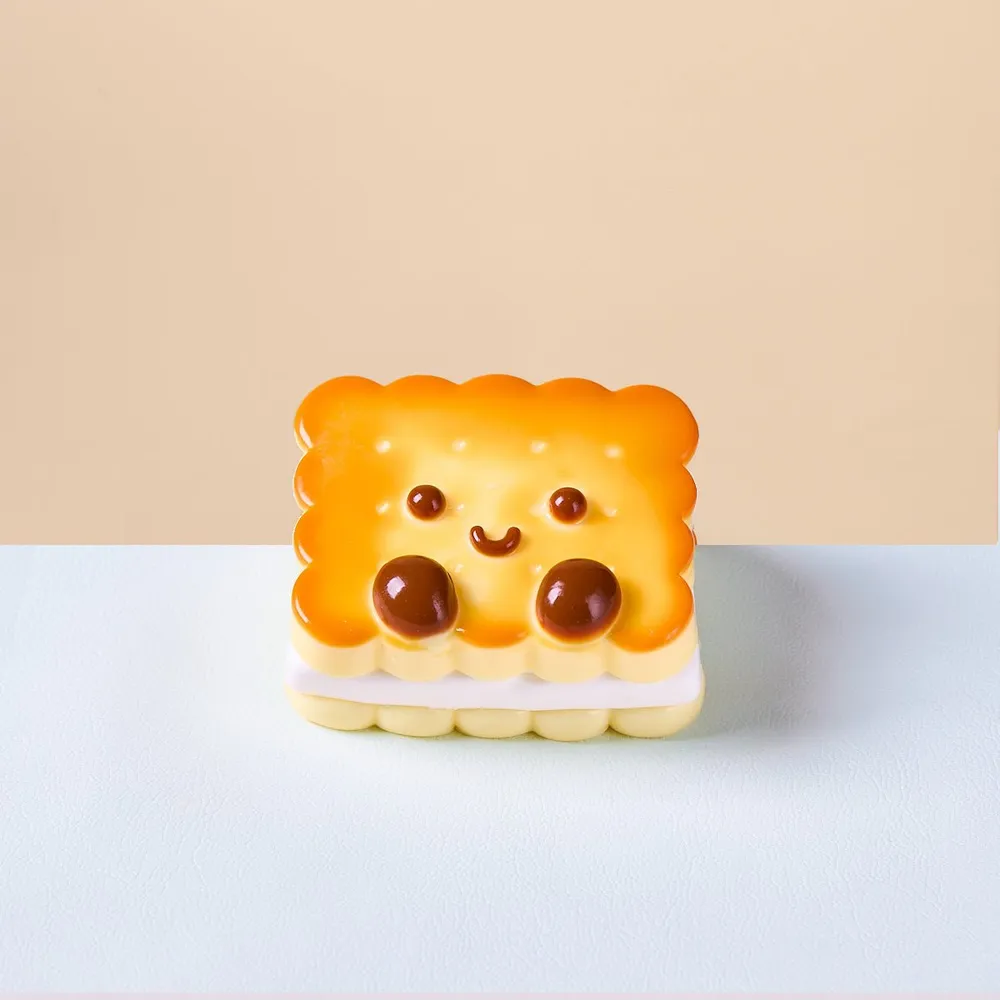 Cute Square Cookies Taba Squishy