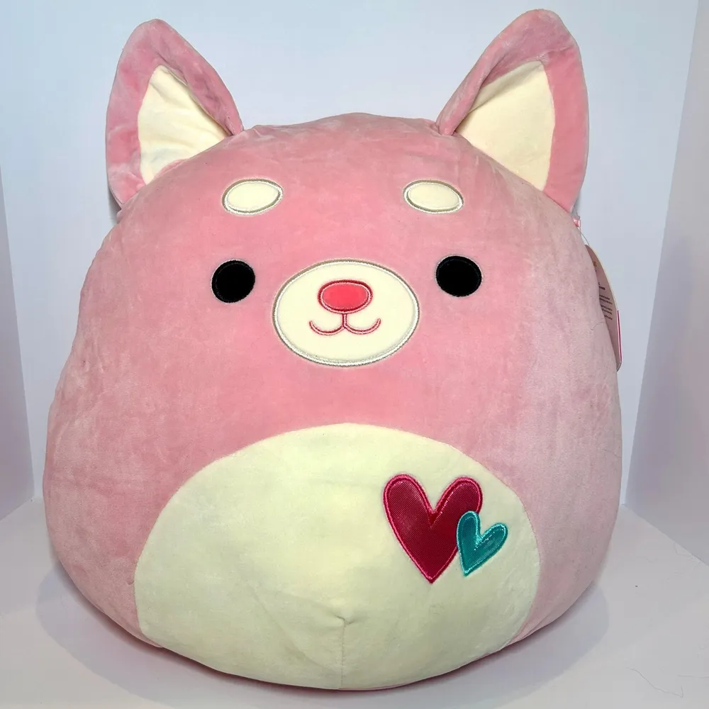 Farrah the Pink Shiba Inu Dog