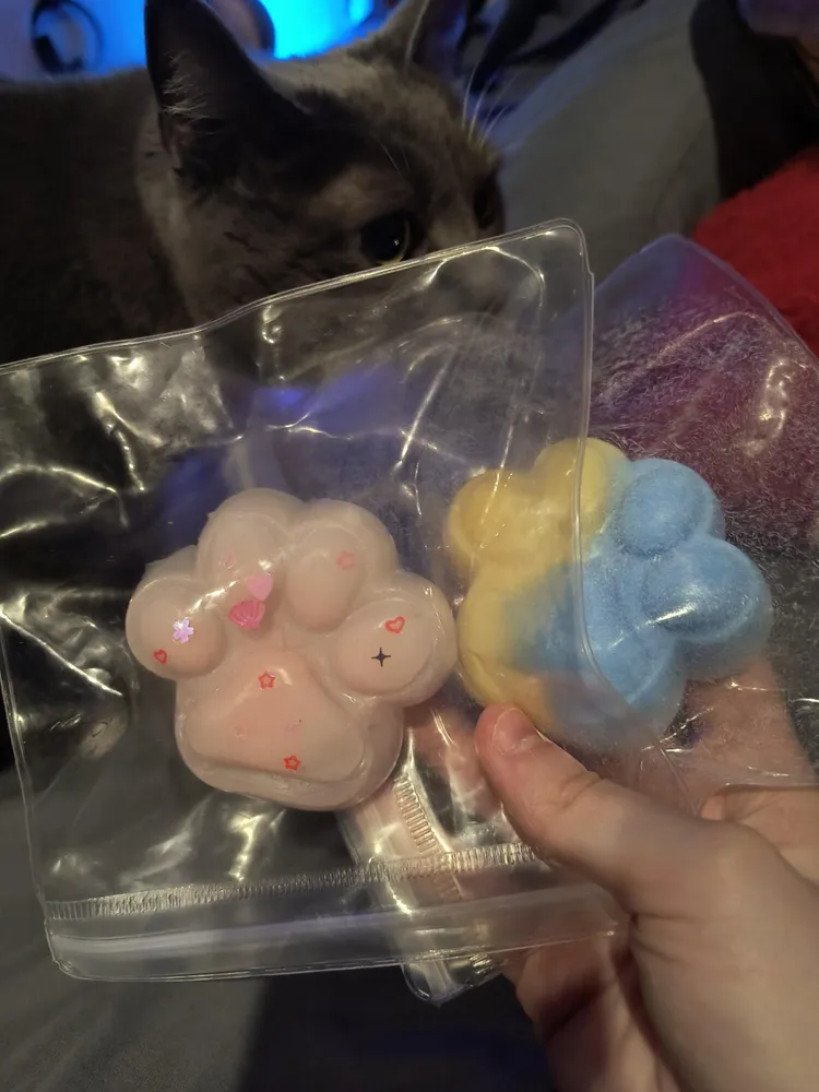 Handmade Taba Squishies Paws 2pc