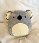 Kirk the Koala