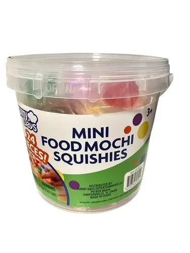 Mini Food Mochi Squishies 24 Piece Set