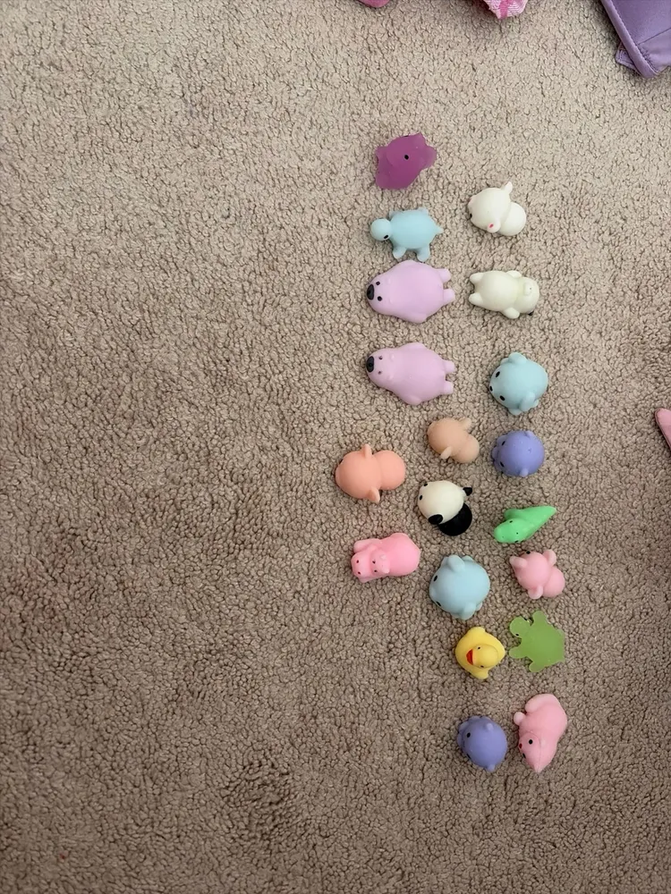 Moochi Mochi Squishies (19pc)