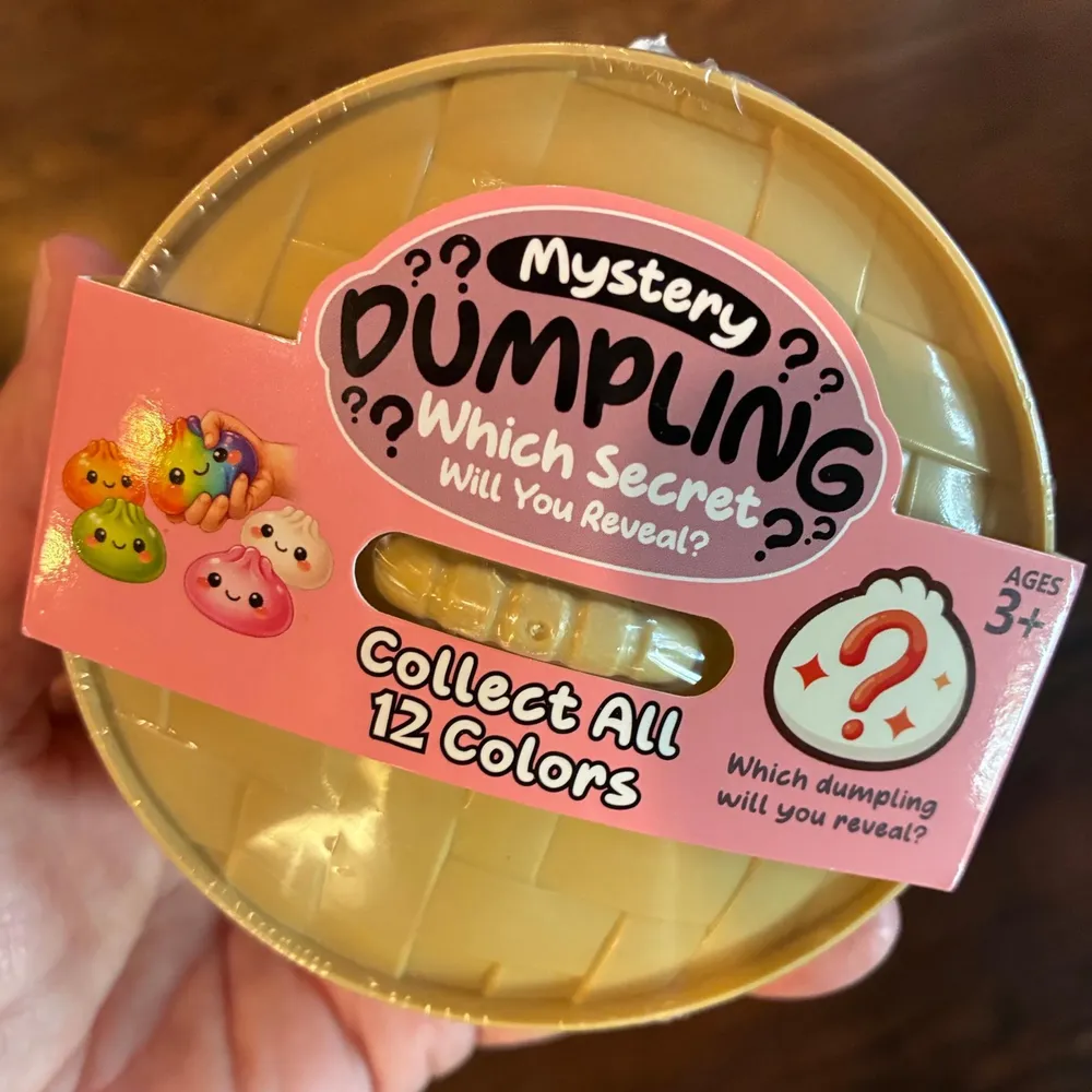 Mystery Dumpling Blind Box Container