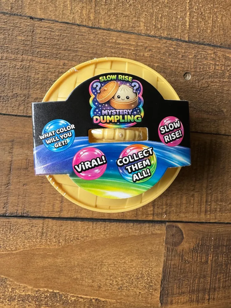 Mystery Dumpling Slow Rise Foam Squishy