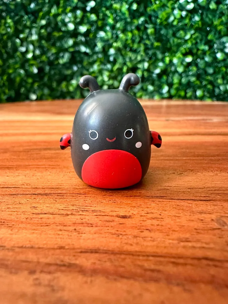 Squish-a-longs Ladybug Bundle โ photo 2