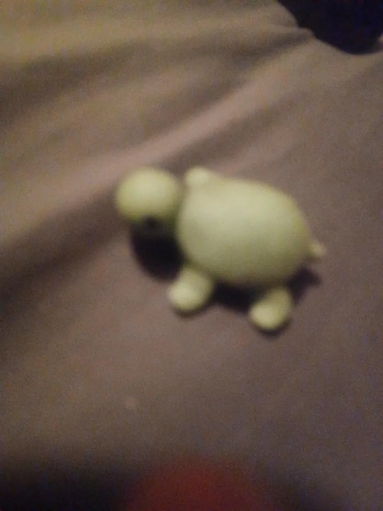 Squishy Mochi Cute Fidget Turtle